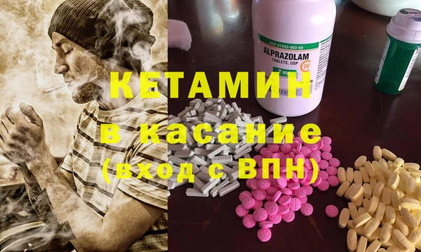 шишки Новодвинск