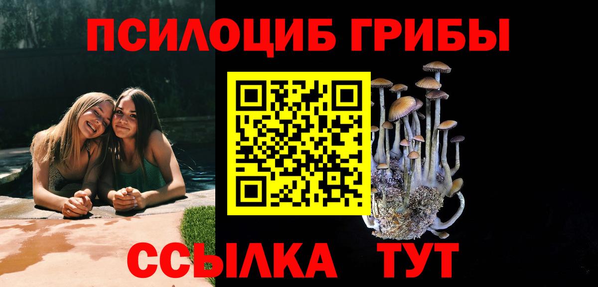 Псилоцибиновые грибы GOLDEN TEACHER  Вход с VPN  Домодедово 